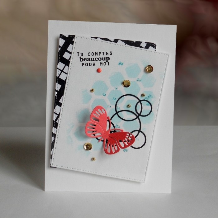 Carte ColorQ338 - DSCN4166