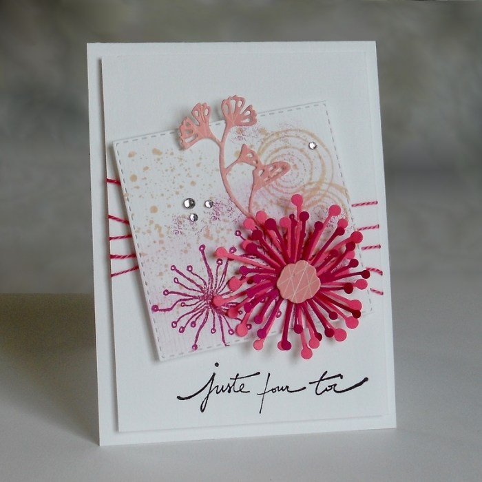 Carte ColourQ341 - DSCN4478