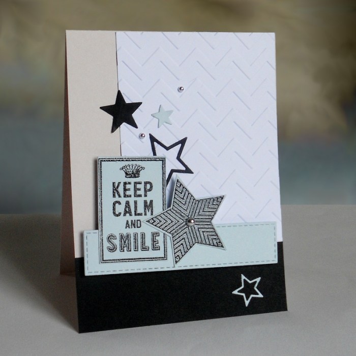 Carte FMS236 - DSCN4445