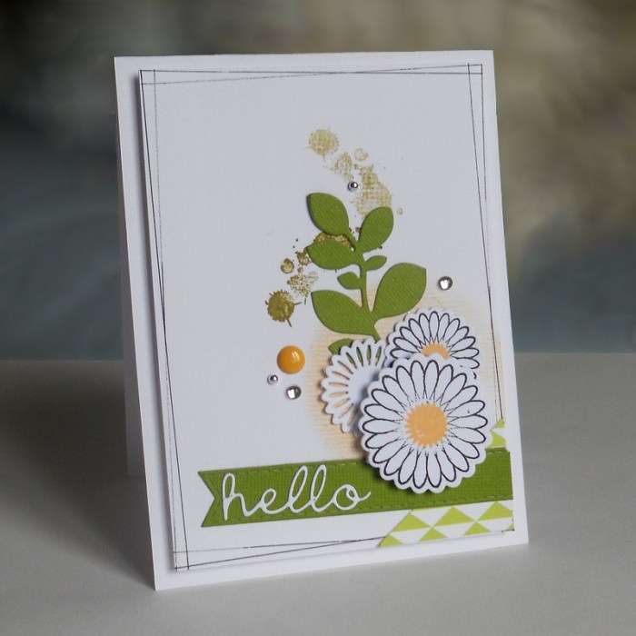 Carte FMS238 - DSCN4656