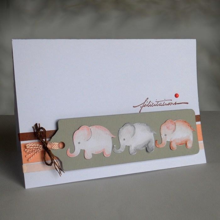 Carte ColourQ347 - DSCN5055