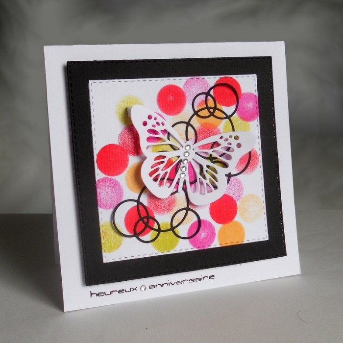 Carte CTD398 - DSCN5008