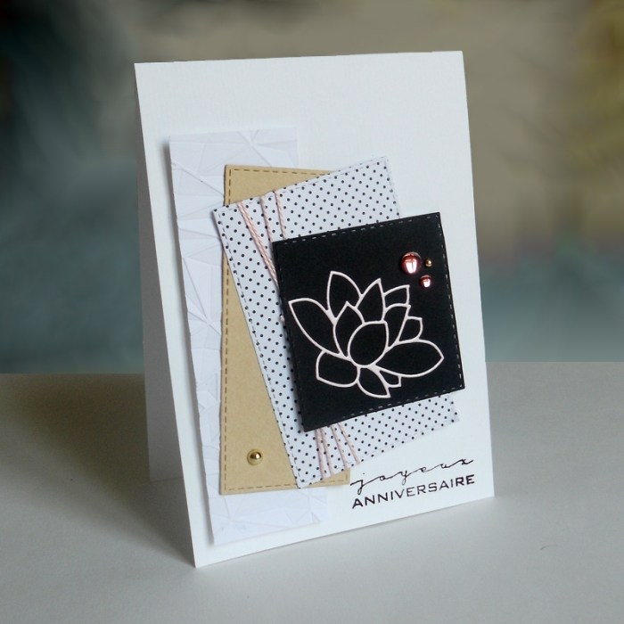 Carte FMS240 - DSCN4837