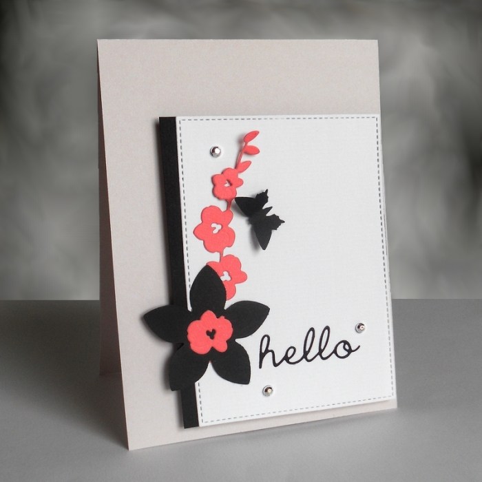 Carte FMS243 - DSCN5050