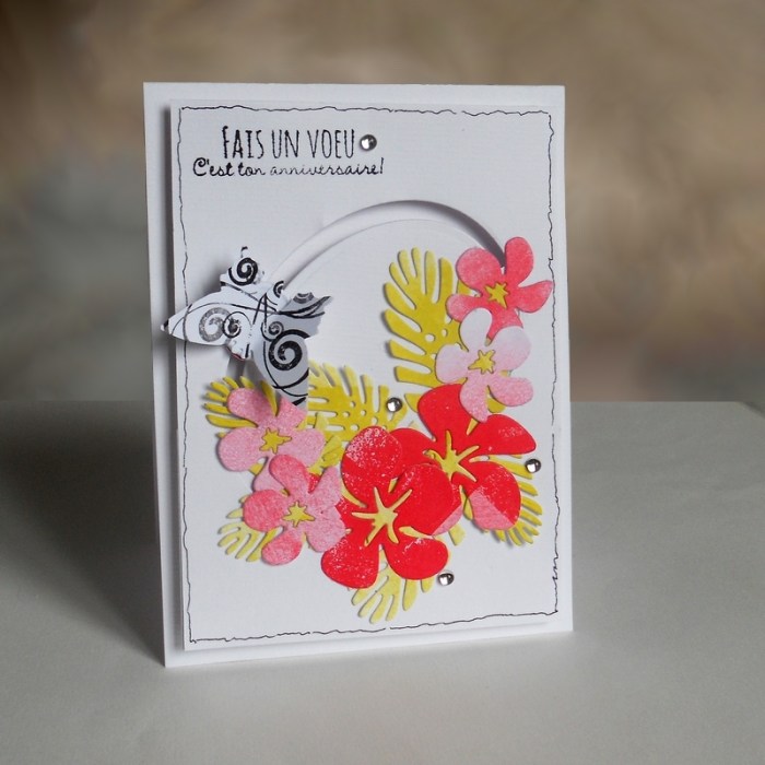 Carte Maniak131 - DSCN4875