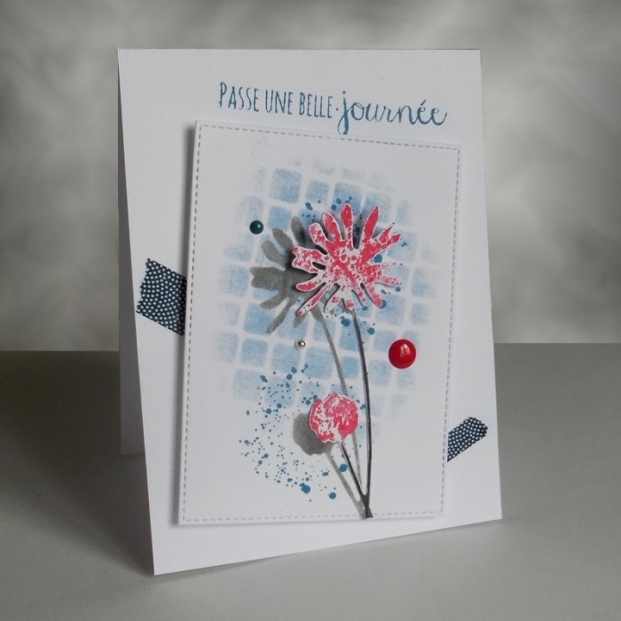 Carte ColourQ349 - DSCN5158