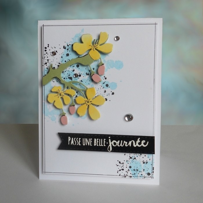 Carte ColourQ350 - DSCN5297