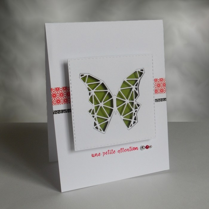 Carte CTD400 - DSCN5162