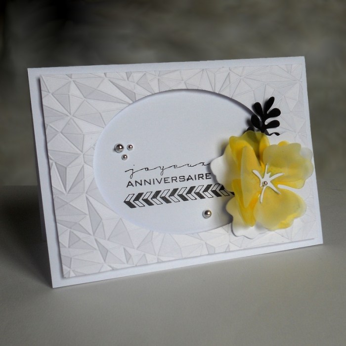 Carte FMS244 - DSCN5110