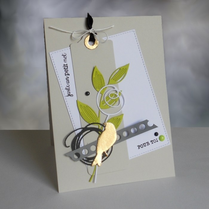 Carte FMS246 - DSCN5335