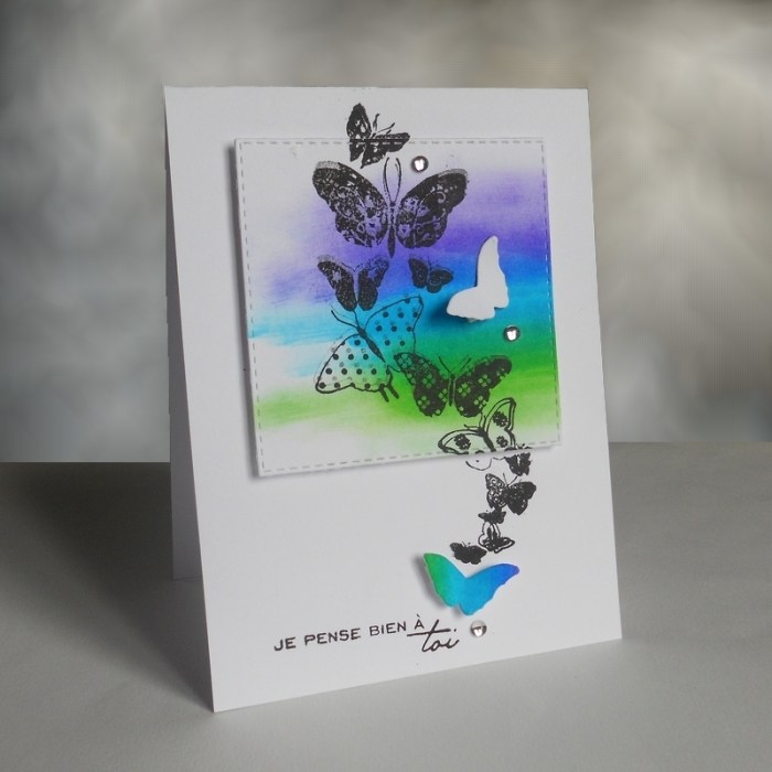 Carte JUGS351 - DSCN5279