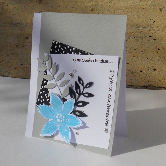 Carte ColourQ354 - DSCN5546