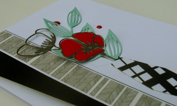 Carte ColourQ355 - DSCN5654