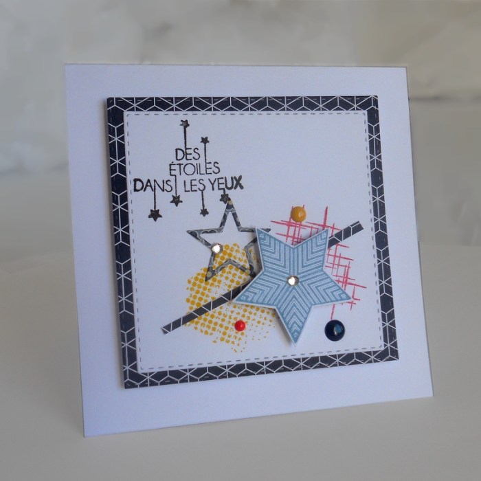 carte-colourq358-dscn6031