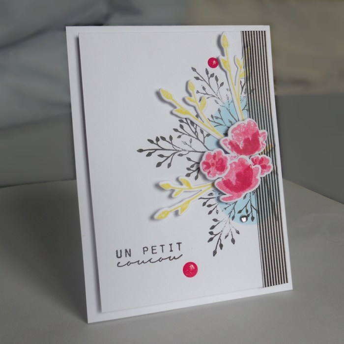 carte-colourq359-dscn6108