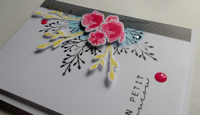 carte-colourq359-dscn6117