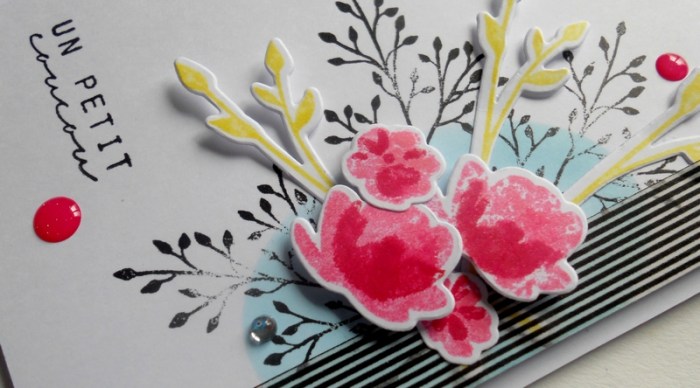 carte-colourq359-dscn6120