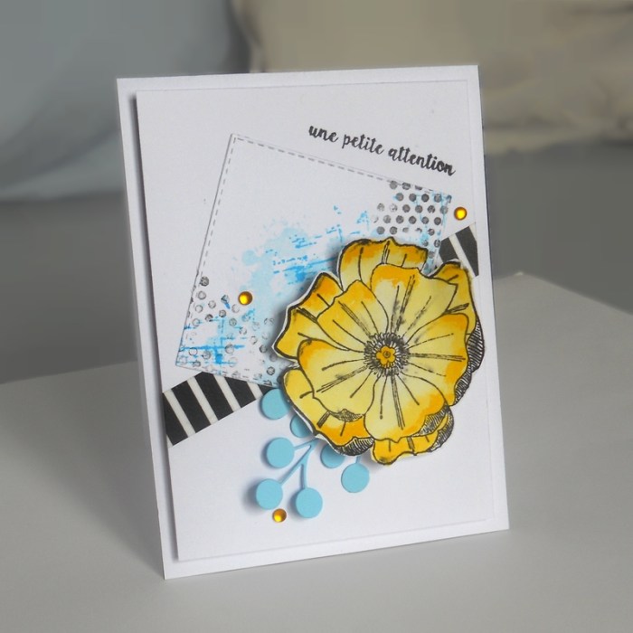 carte-ctd409-dscn6051