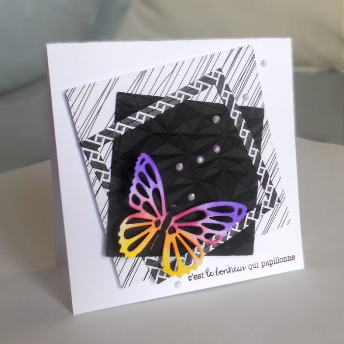 carte-ctd411-dscn6221