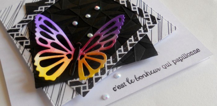 carte-ctd411-dscn6226