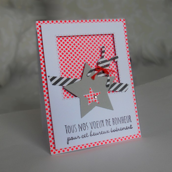 carte-fms253-dscn5927