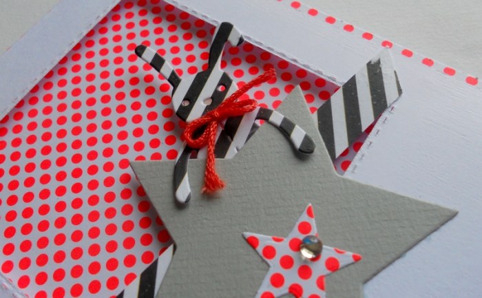 carte-fms253-dscn5934