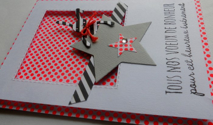 carte-fms253-dscn5935