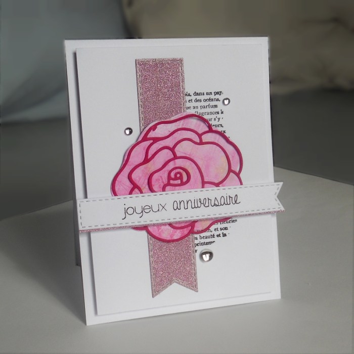 carte-fms254-dscn6074