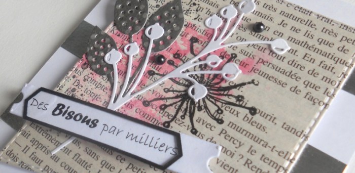 carte-fms256-dscn6314