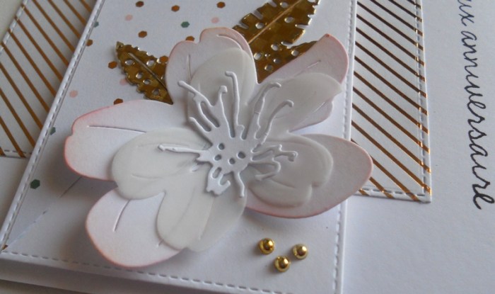 carte-maniak137-dscn6021