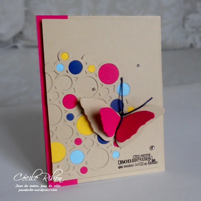 carte-aid02-dscn6595