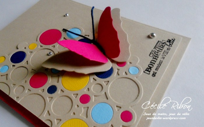 carte-aid02-dscn6596