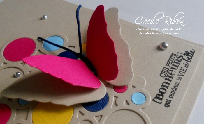 carte-aid02-dscn6600