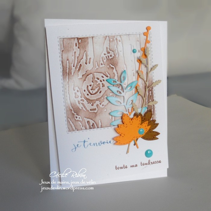 carte-colourq361-dscn6353