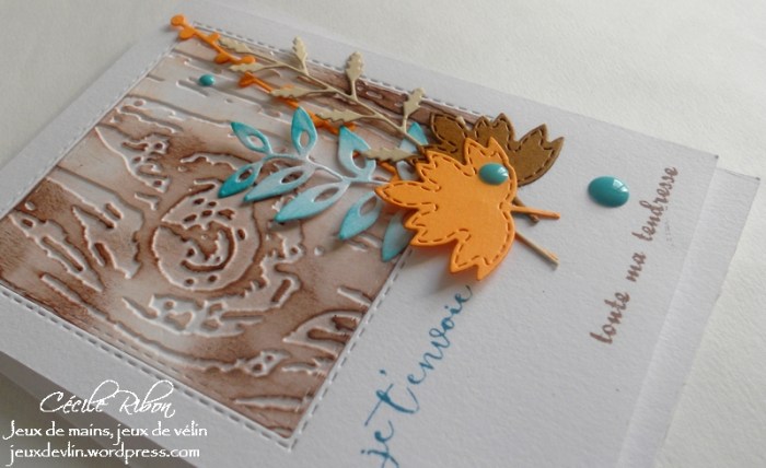 carte-colourq361-dscn6370