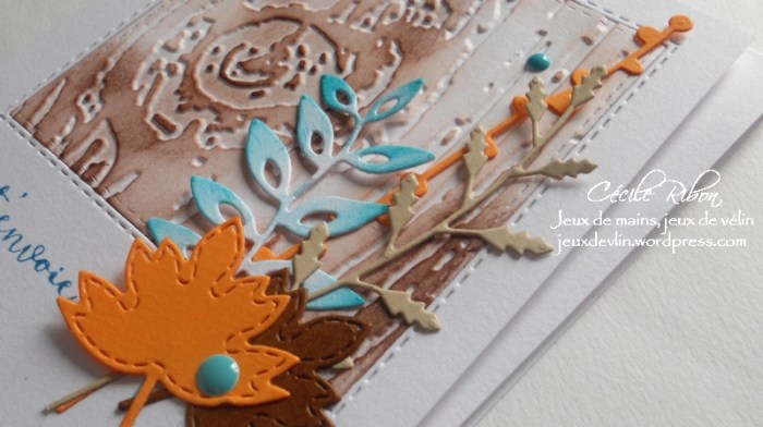 carte-colourq361-dscn6375