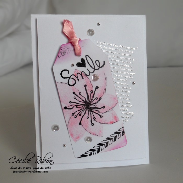 carte-colourq362-dscn6532