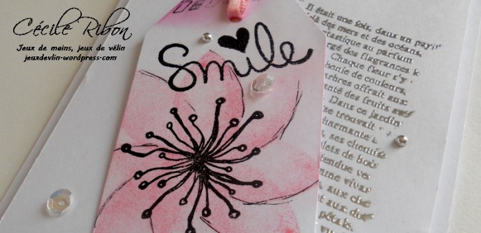 carte-colourq362-dscn6540