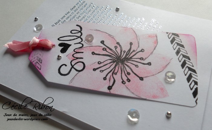 carte-colourq362-dscn6543