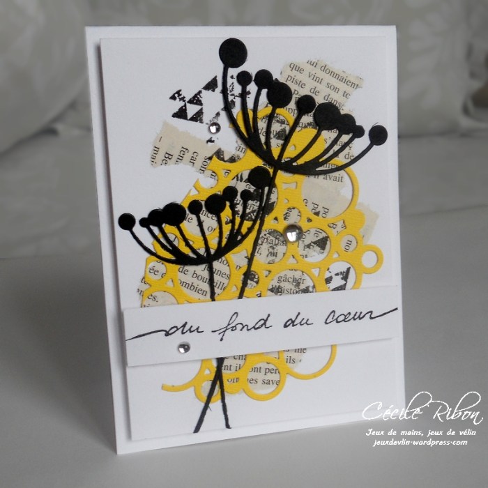 carte-colourq363-dscn6630