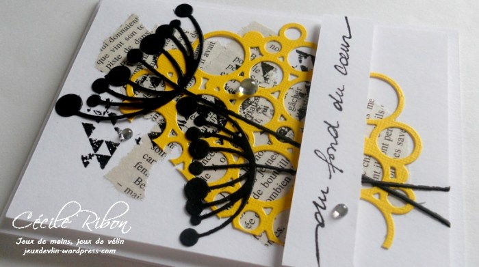 carte-colourq363-dscn6631