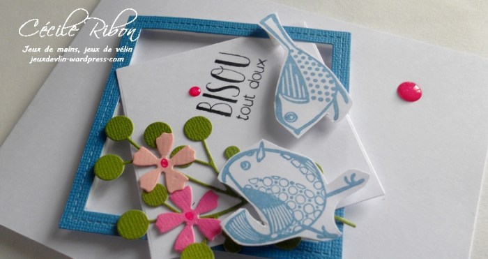 carte-ctd412-dscn6382