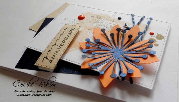 carte-ctd413-dscn6520