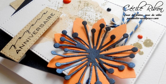 carte-ctd413-dscn6521