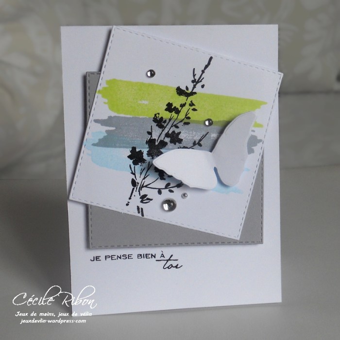 carte-ctd414-dscn6620