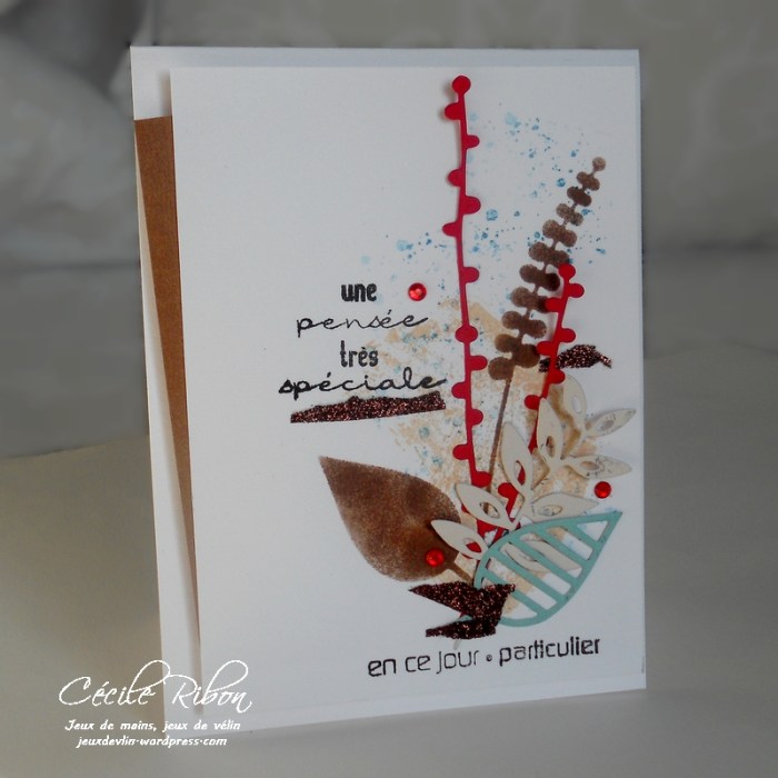 carte-ctd415-dscn6744