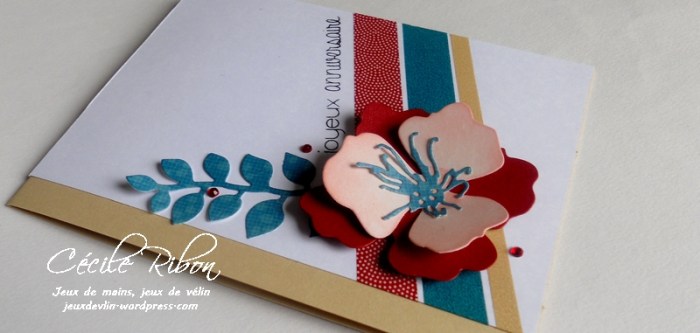 carte-ctd416-dscn6813