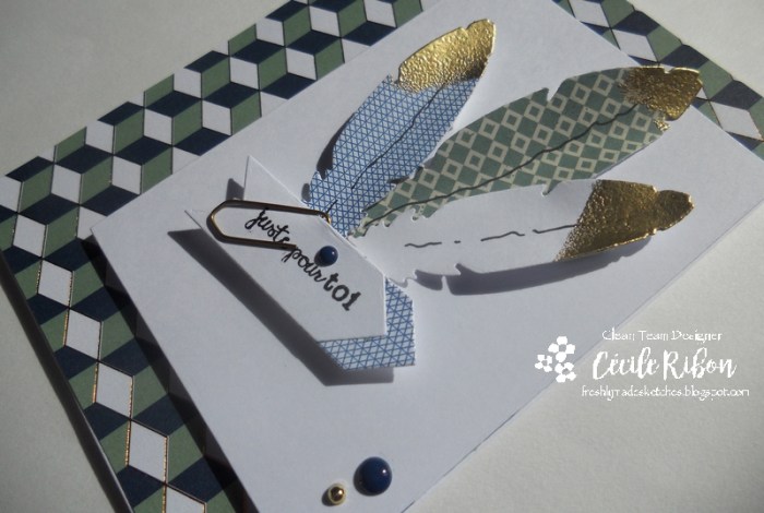 carte-fms257-dscn6442