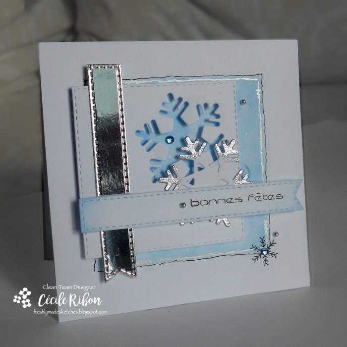 carte-fms258-dscn6550