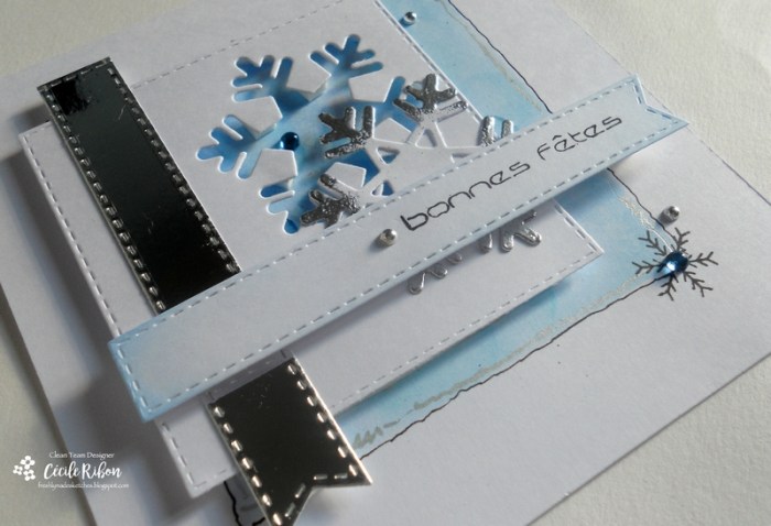 carte-fms258-dscn6565